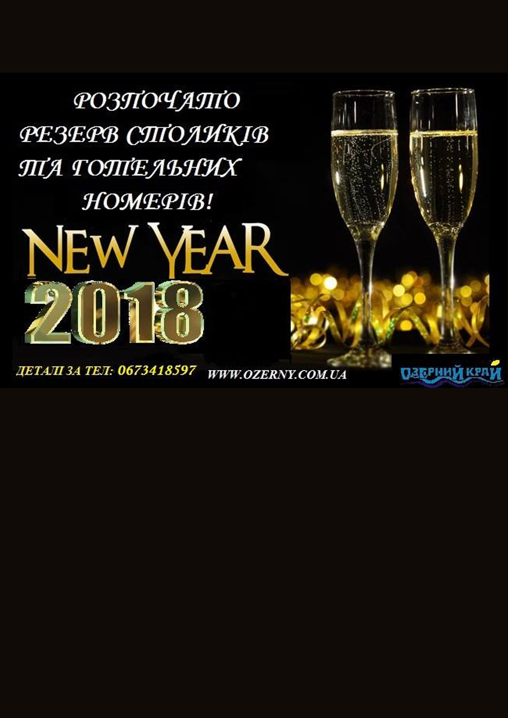 New Year Party 2018 in 
